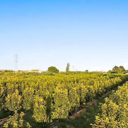 Huerto Valenciano - Sol Y Tranquilidad - Piscina * فالنسيا
