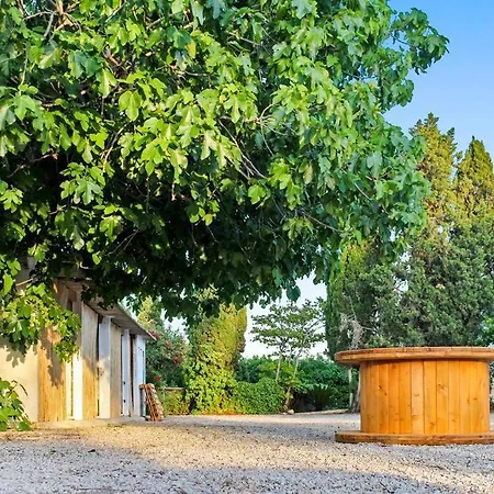 بيت للعطل Huerto Valenciano - Sol Y Tranquilidad - Piscina